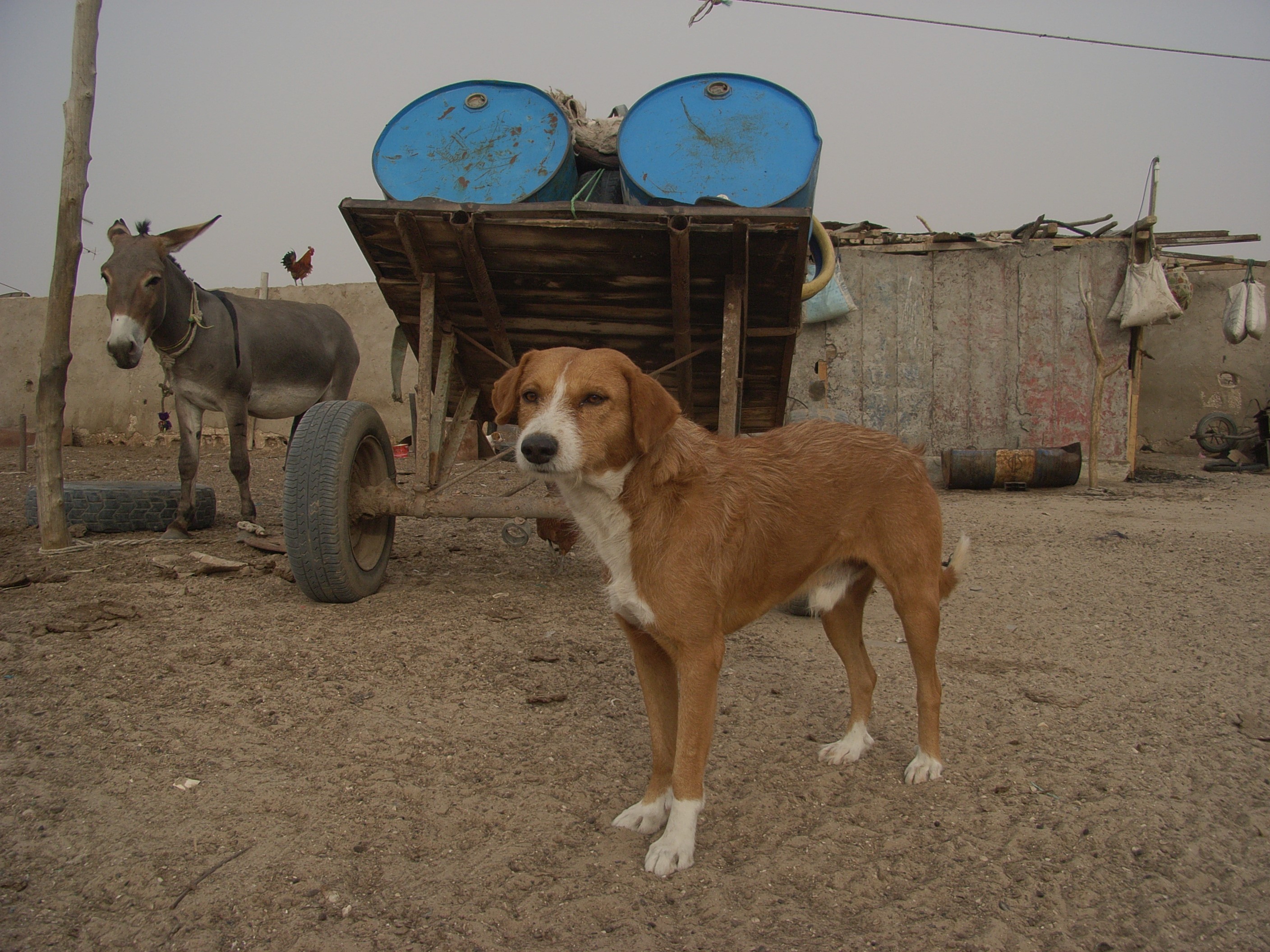 Sie suchen unterstützung für ein Projekt