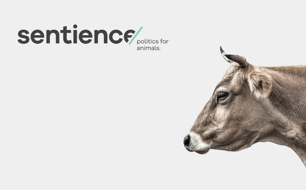 Sentience