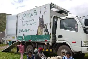 Globalteer PAWS (Peru Animal Welfare Society)
